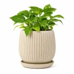 Ceramic Indoor Plant Pot